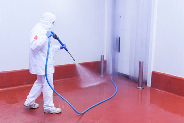 Best Post-Construction Pressure Washing  in Waipio, HI